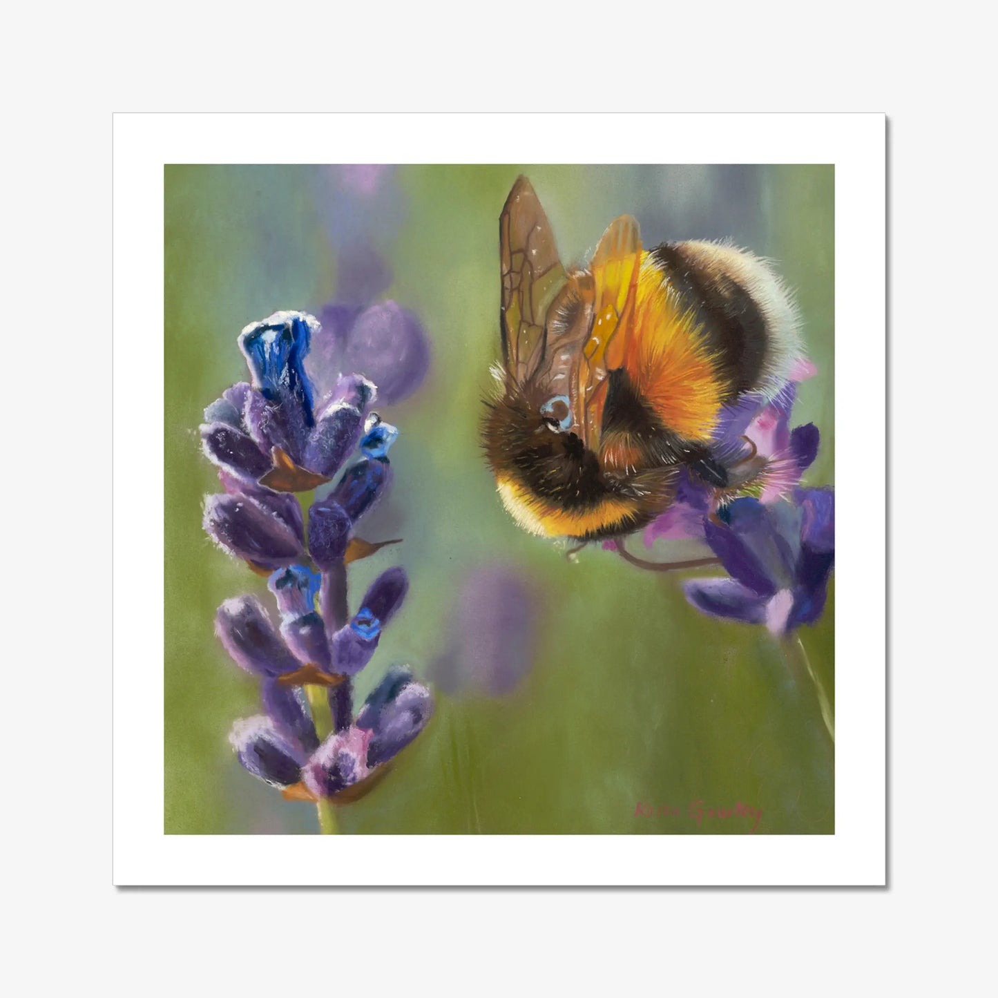 bee on lavender with green background