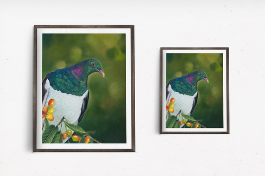 A Place to Pause, a soft pastel kererū (NZ wood pigeon) fine art print by Karen Gourley, shown in two sizes