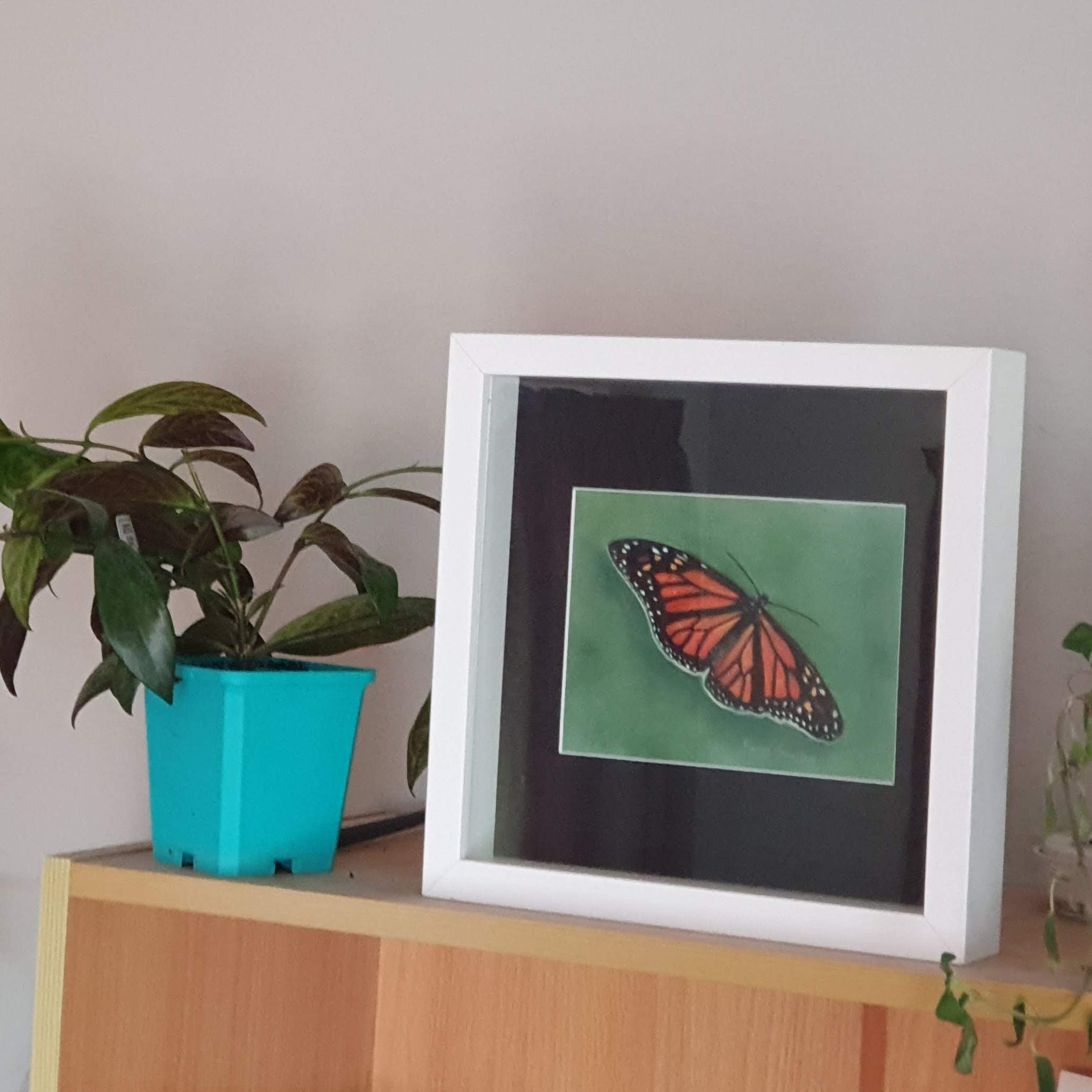 Framed artwork of a butterfly on a green background, placed on a wooden surface with potted plants around.