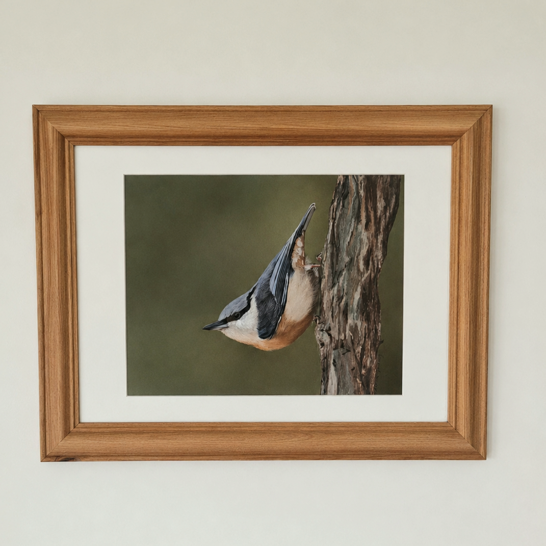 Nuthatch’s Pause Karen Gourley Artist