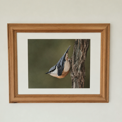 Nuthatch’s Pause Karen Gourley Artist