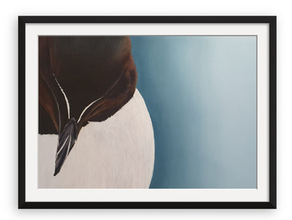 Framed pastel artwork of a razorbill against a blue-graduated background.