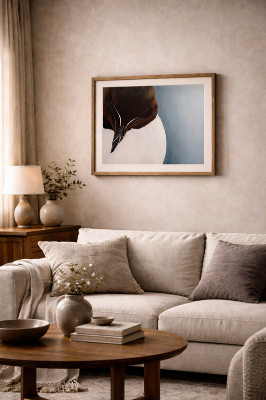 Quiet Reflection – Razorbill Limited Edition Fine Art Print