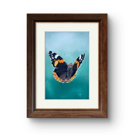 Red Admiral butterfly