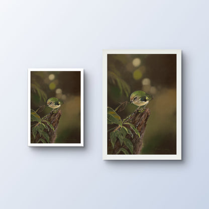 Gathering | Rifleman Fine Art Print Karen Gourley Artist