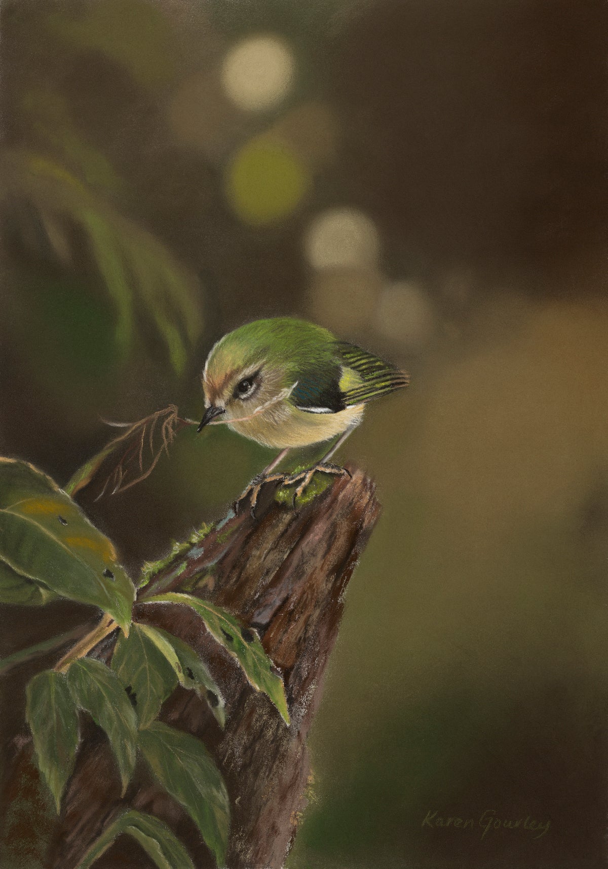 Gathering, a soft pastel titipounamu (rifleman) fine art print by Karen Gourley Artist