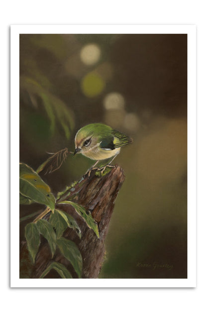 Gathering titipounamu (rifleman) fine art print on paper with a white border, by Karen Gourley Artist