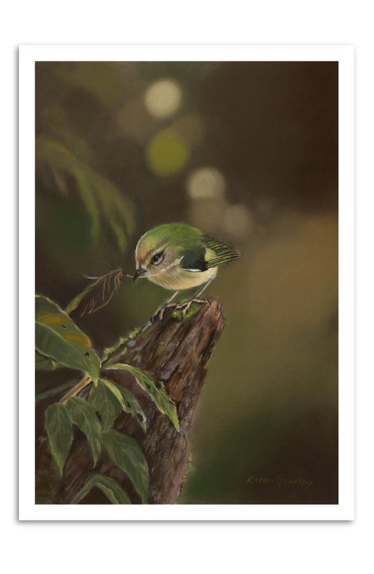 Gathering titipounamu (rifleman) fine art print on paper with a white border, by Karen Gourley Artist