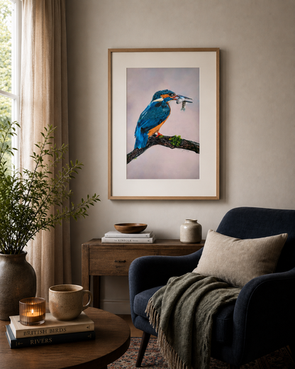 River's Jewel | British Kingfisher Fine Art Print Karen Gourley Artist