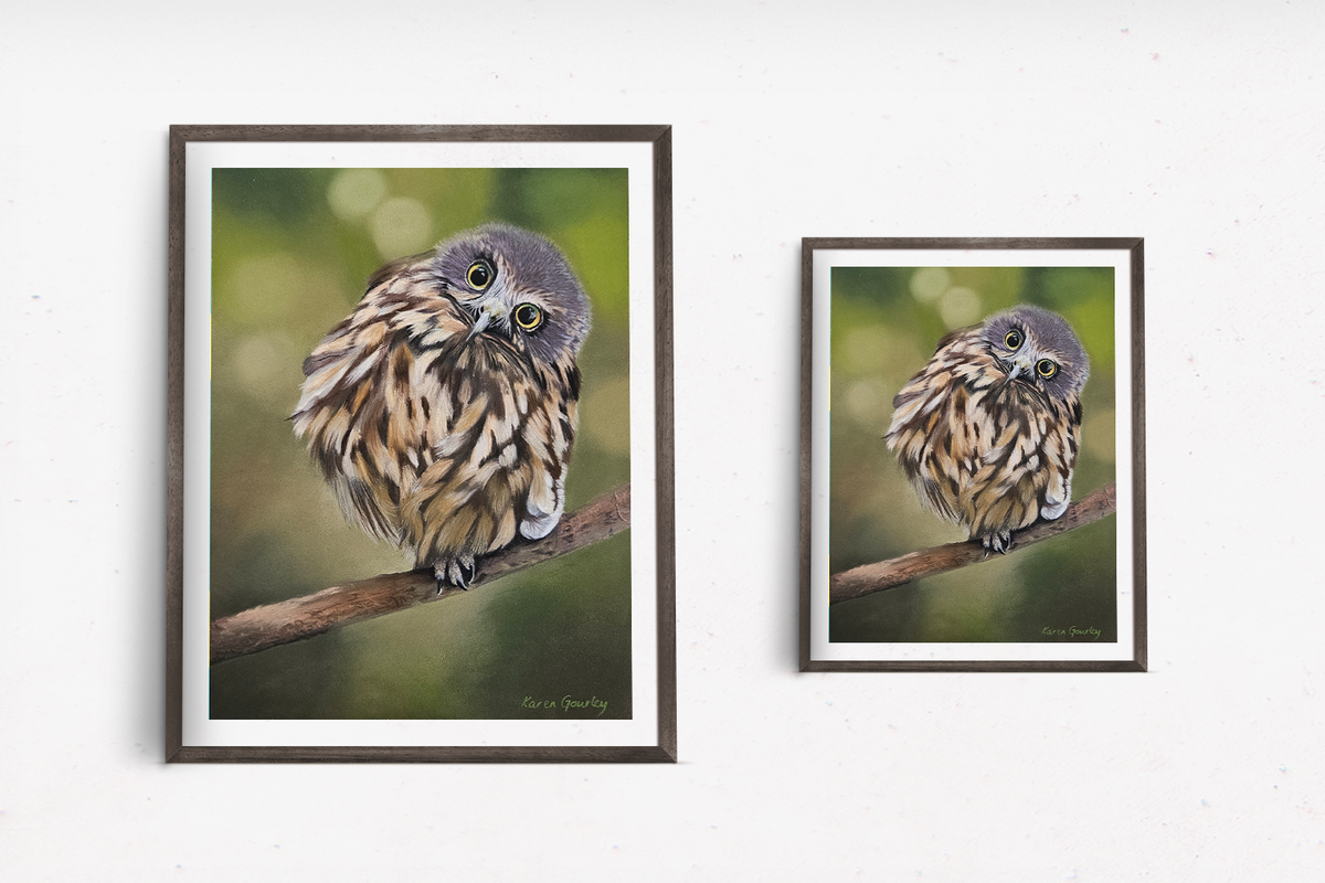 Wide Awake, a soft pastel ruru (morepork) fine art print by Karen Gourley, shown in two sizes