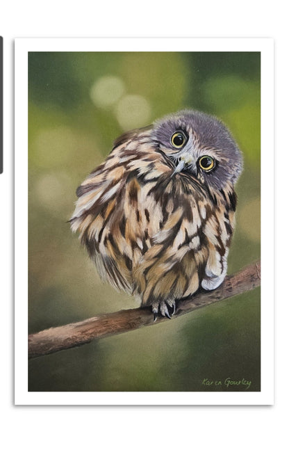 Wide Awake ruru (morepork) fine art print on paper with a white border, by Karen Gourley Artist