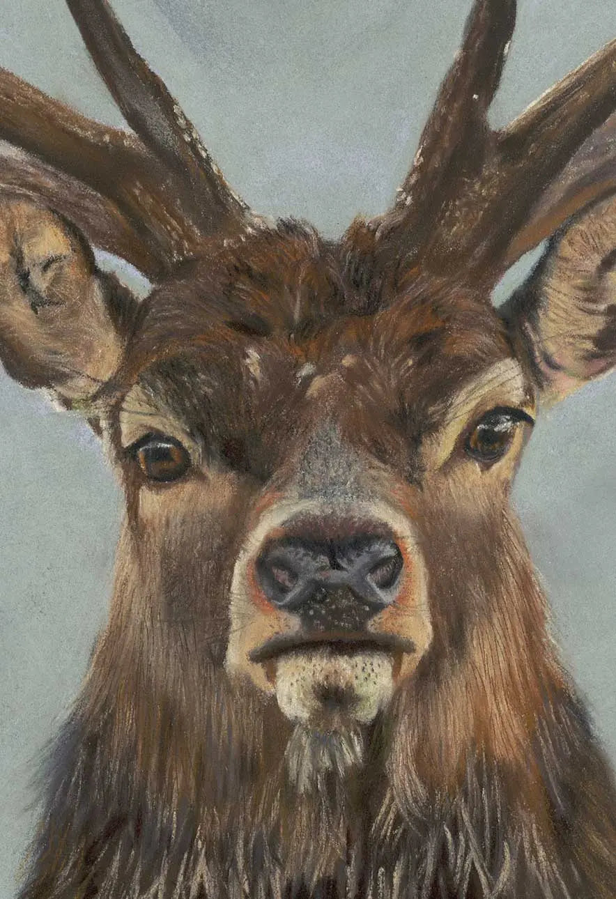 Close-up of a deer with large antlers against a plain background