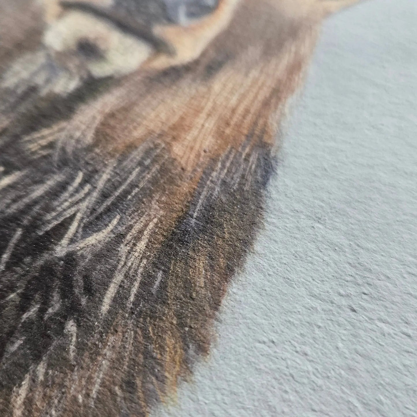 Stag print texture and details