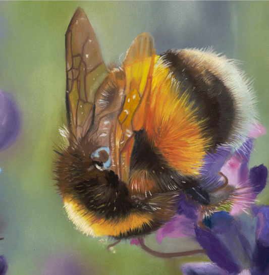 Summer Evening Fine Art Print