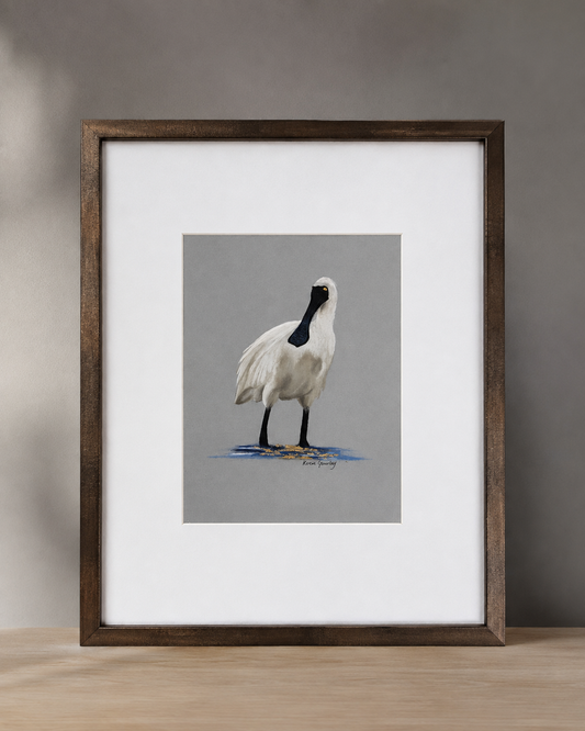 Tidal Light Spoonbill pastel painting Karen Gourley Artist