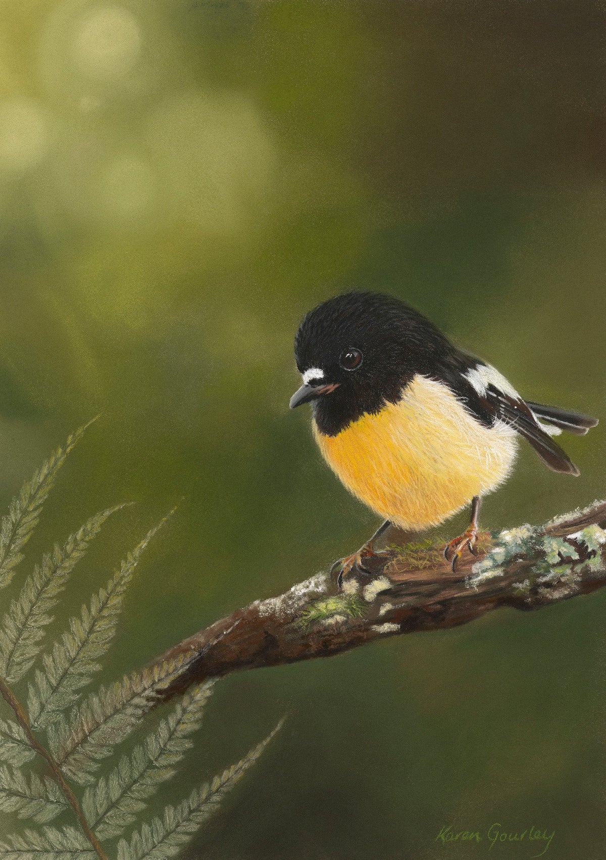A Little Bit of Sunshine, a soft pastel miromiro (tomtit) fine art print by Karen Gourley