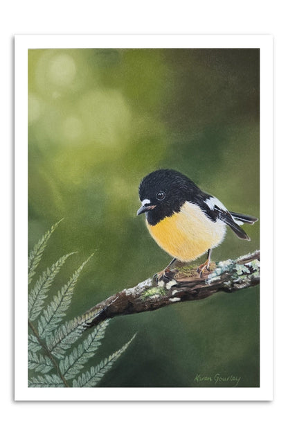 A Little Bit of Sunshine miromiro (tomtit) fine art print on paper with a white border, by Karen Gourley Artist