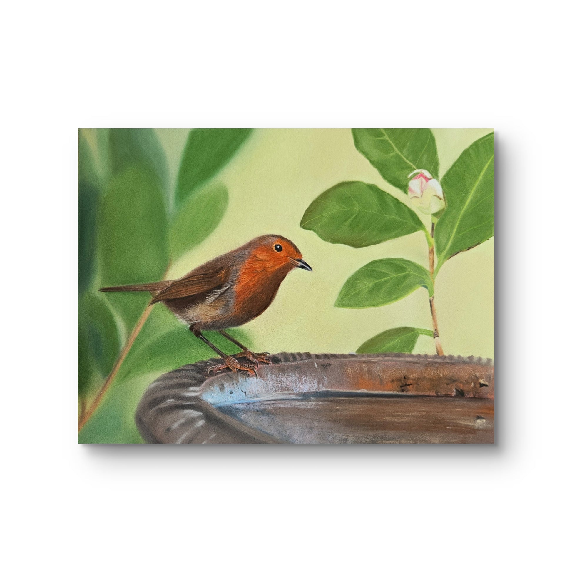 Watching Over Robin on birdbath art print on paper