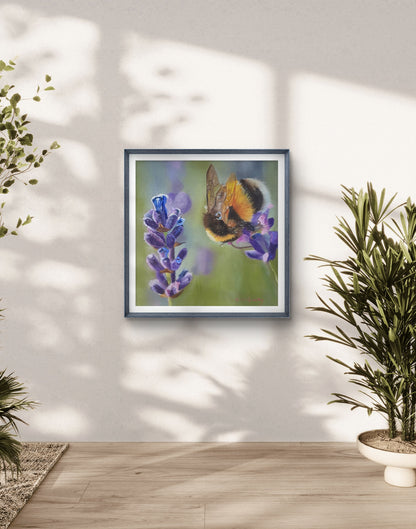 Summer Evening Fine Art Print