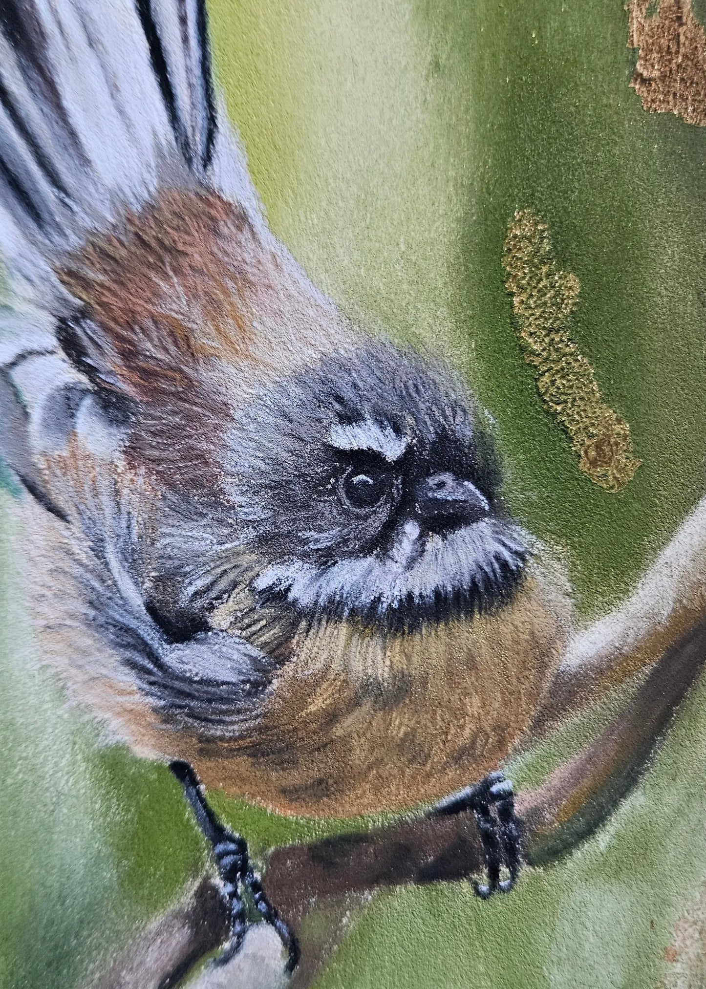 Close-up pastel detail of pīwakawaka (fantail) in Just Passing Through original painting by Karen Gourley Artist NZ