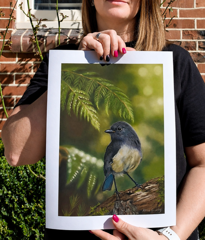 The Forest Watches Back | South Island Robin Limited Edition Print Karen Gourley Artist