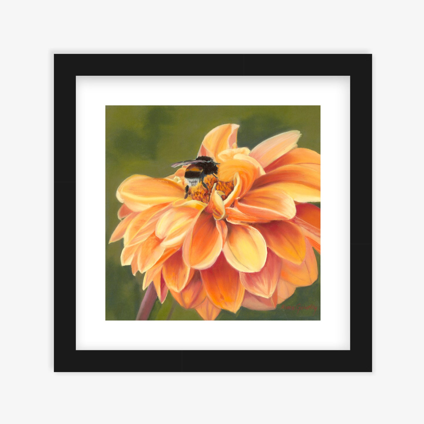 Full Bloom fine art print by Karen Gourley — bumblebee on vibrant orange dahlia in black wooden frame