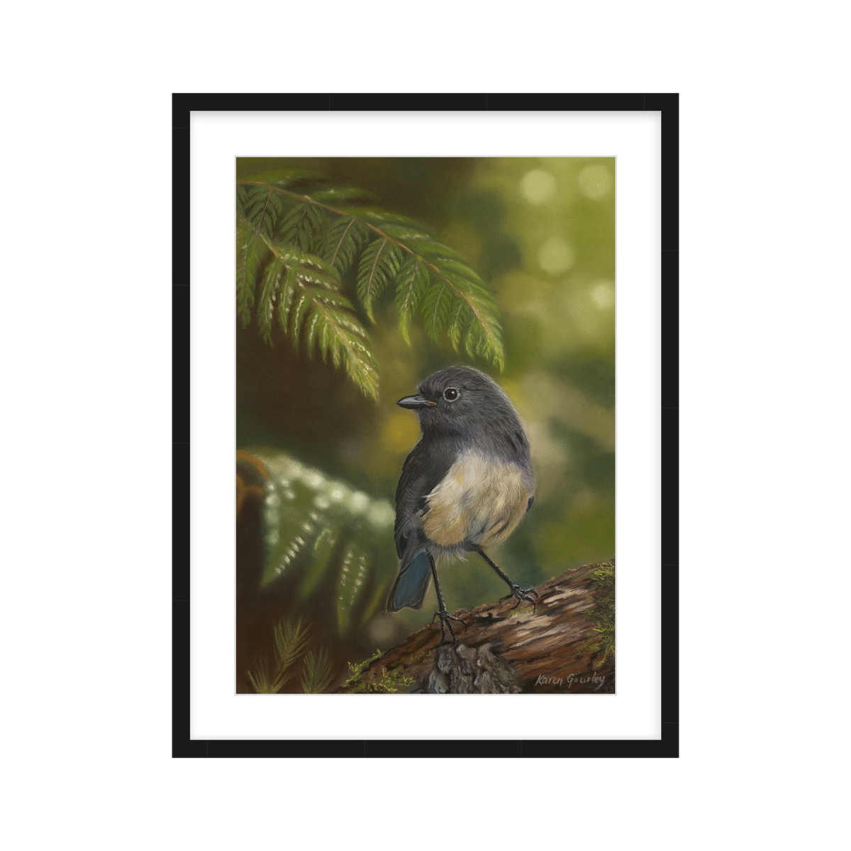 South Island robin print framed in black wood frame