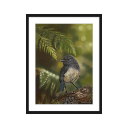 South Island robin print framed in black wood frame
