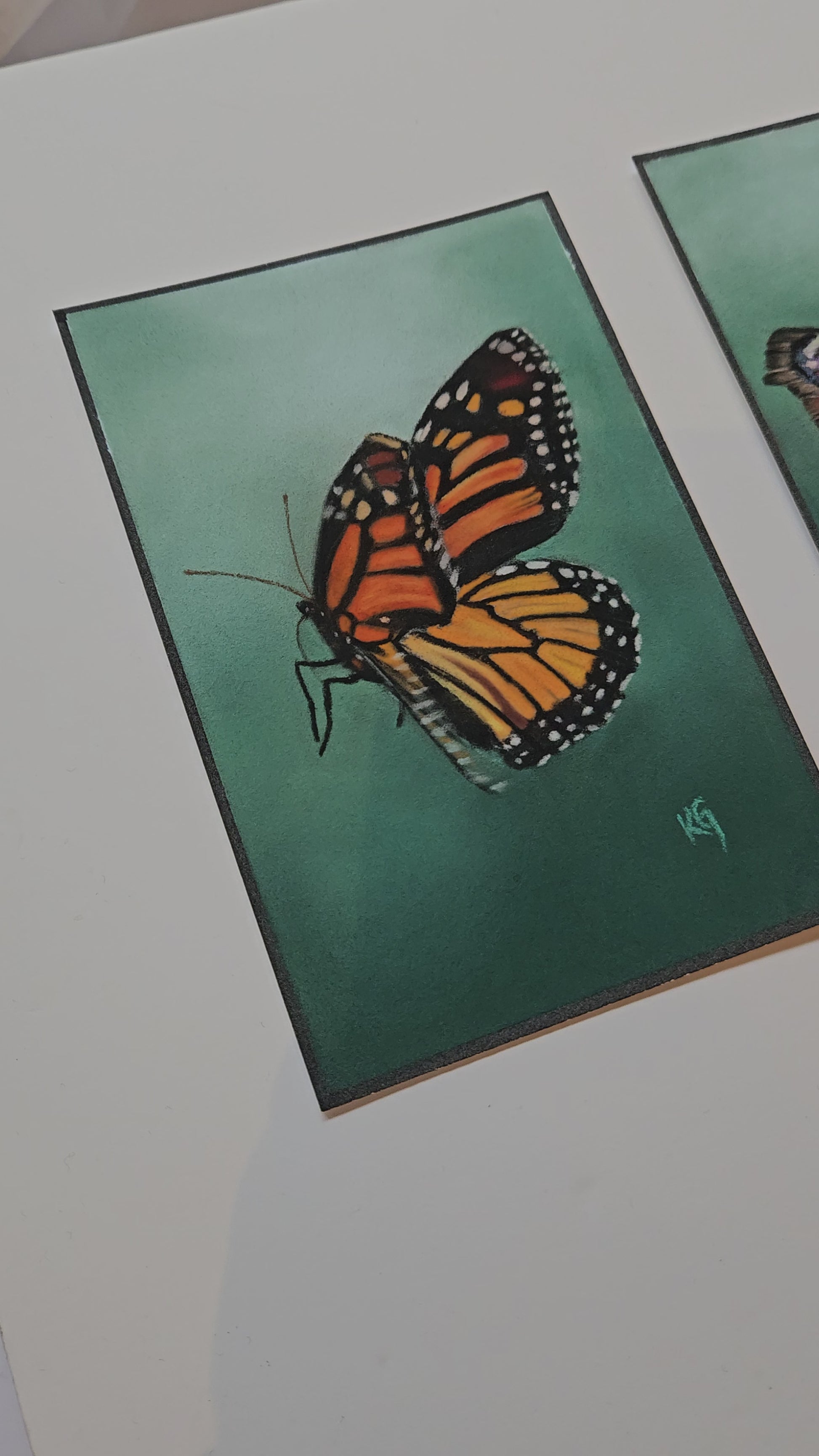 3 butterfly paintings