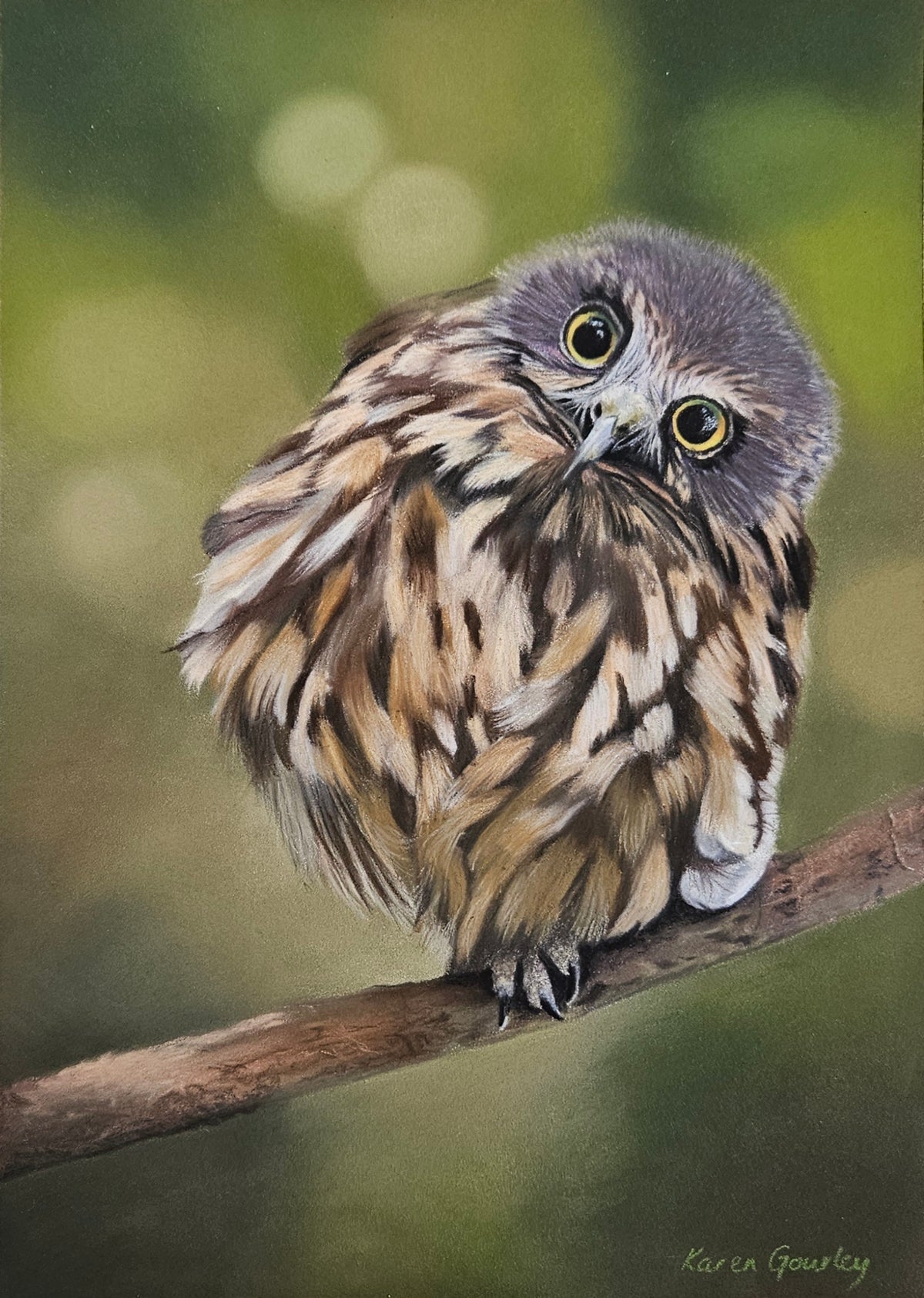 Wide Awake - Ruru Karen Gourley Artist
