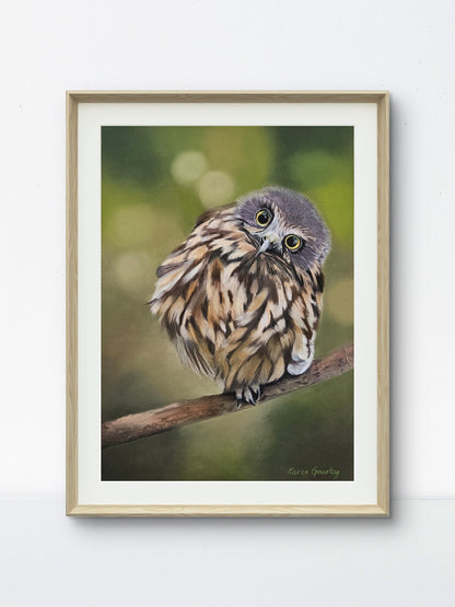Wide Awake - Ruru Karen Gourley Artist