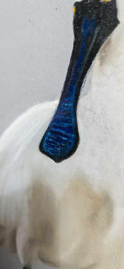 Tidal Light spoonbill painting detail showing gold leaf accents, Karen Gourley Artist