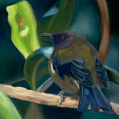 Close detail of bellbird soft pastel painting showing olive-green plumage and atmospheric background, framed original artwork