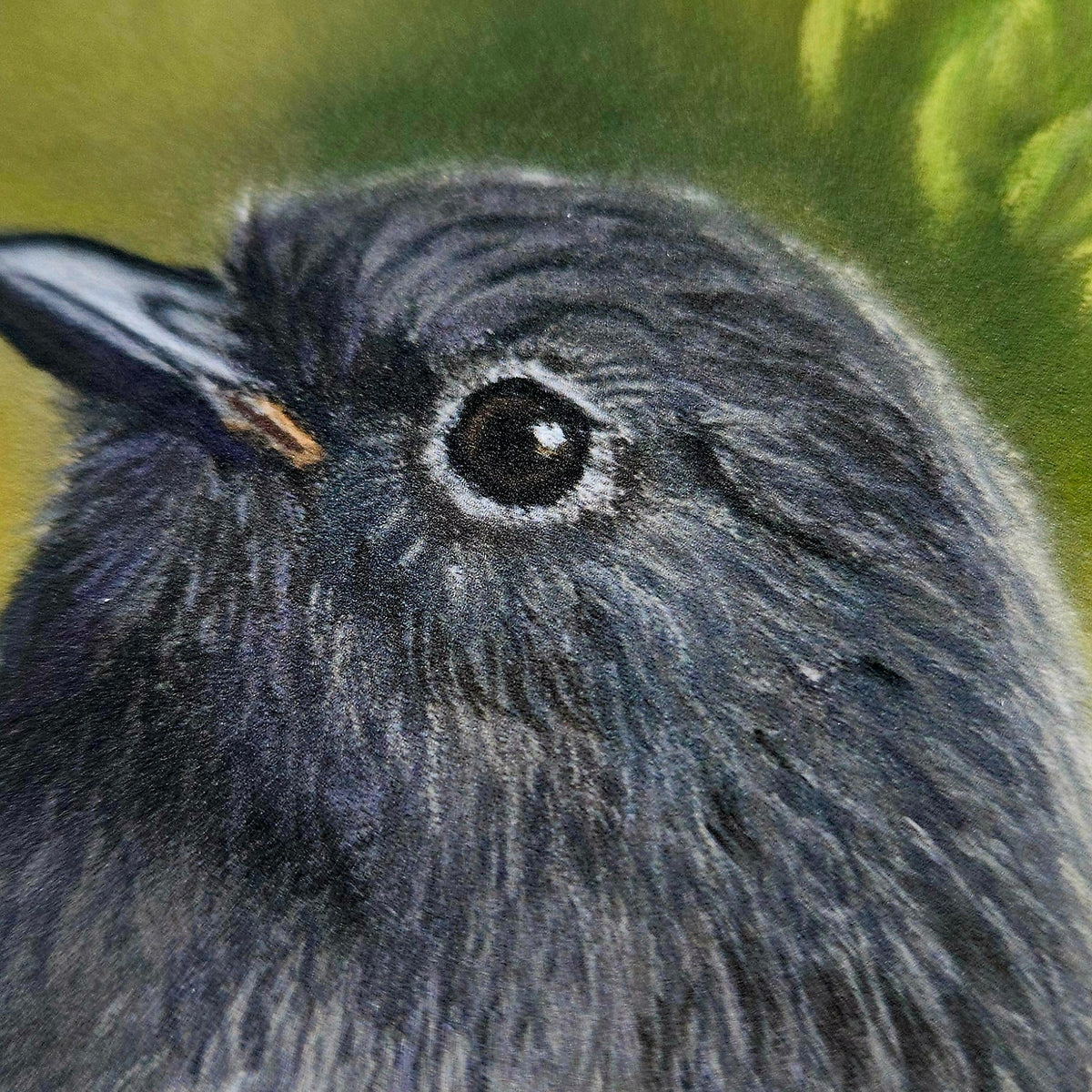 Close-up of the South Island robin’s eye and feather detail in The Forest Watches Back print by Karen Gourley