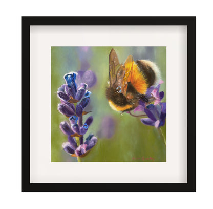 Framed artwork of a bee on lavender flowers
